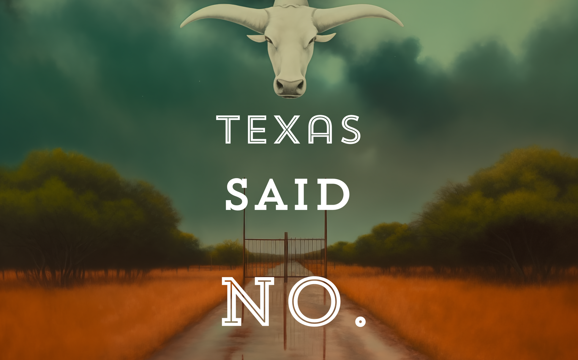 The Texas longhorn bull stands proud over Texas.  There is a storm brewing, but, to those breaking the law...  Texas said No.